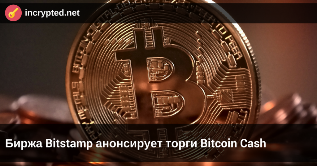 bitstamp bitcoin cash