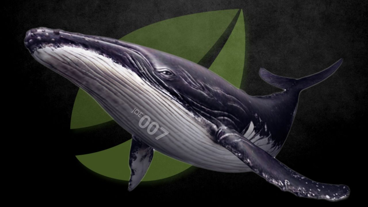 Возвращение блудного кита с Bitfinex. Заглавный коллаж новости.