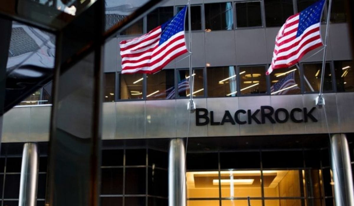 BlackRock торгуют BTC | За месяц продано NFT на $200 млн | Илон Маск снова пампит Dogecoin. Заглавный коллаж новости.