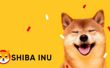 Кит Ethereum покупает Shiba Inu