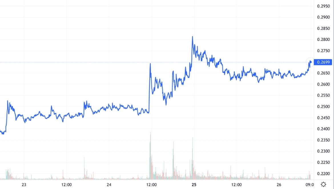 Рост цены монеты на фоне твита Илона Маска. Источник: tradingview