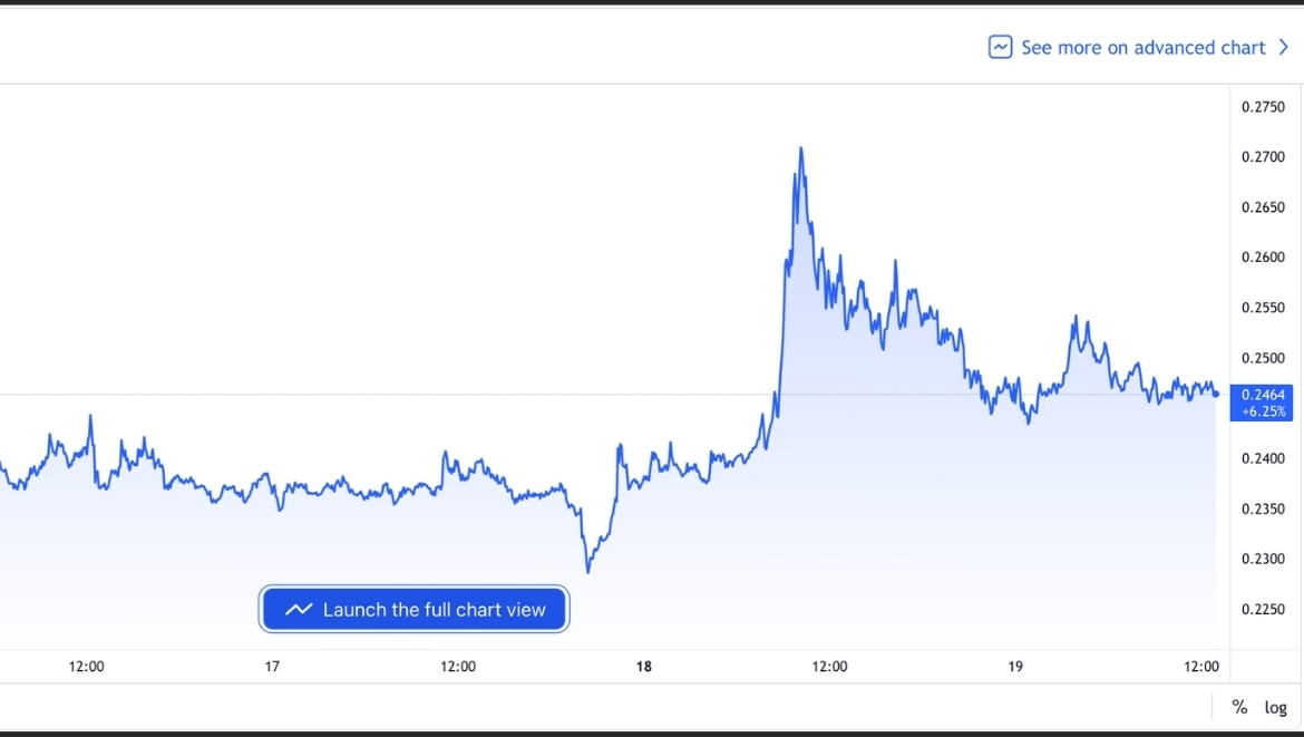 Рост монеты после твита Илона Маска. Источник: tradingview