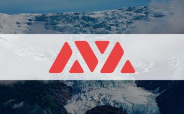 Avalanche Foundation привлечет 220 миллионов инвестиций в свои DeFi и NFT проекты.