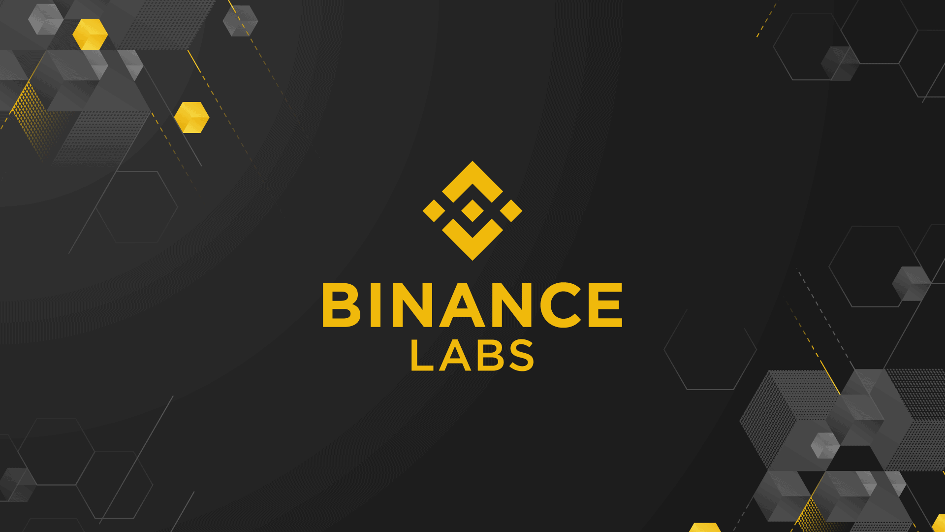 Венчурный фонд Binance Labs поддержит 8 блокчейн стартапов. Заглавный коллаж новости.
