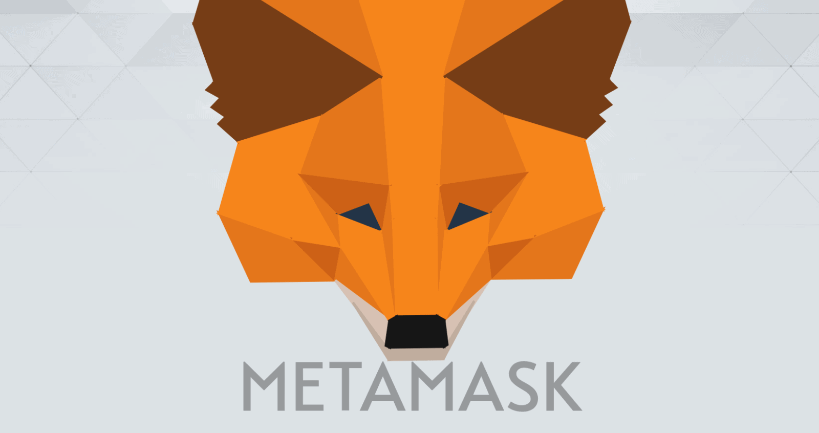 Кошелек MetaMask может запустить собственный токен. Заглавный коллаж новости.