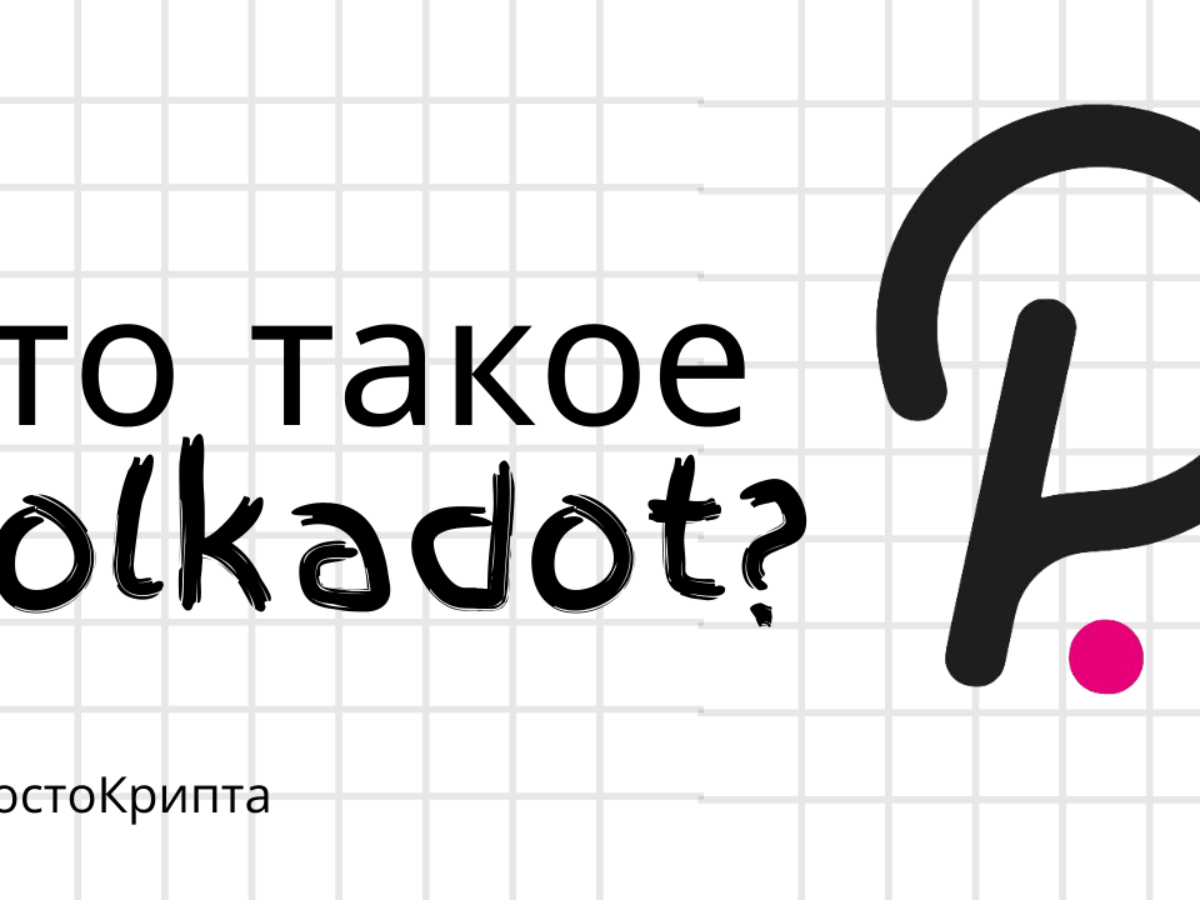 полка дот что это такое фото 16