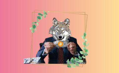 Главный прототип фильма «Волк с Уолл-Стрит» будет учить криптовалютам