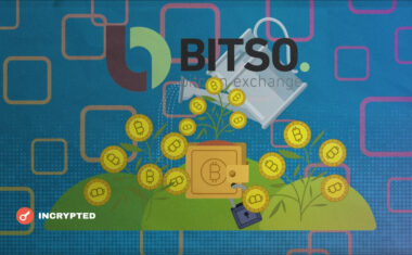 Биржа Bitso анонсировала новую услугу для своих клиентов Она позволяет получить прибыль просто за хранение BTC и стейблкоинов
