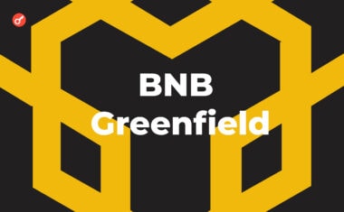 BNB Greenfield запустил собственный тестнет.
