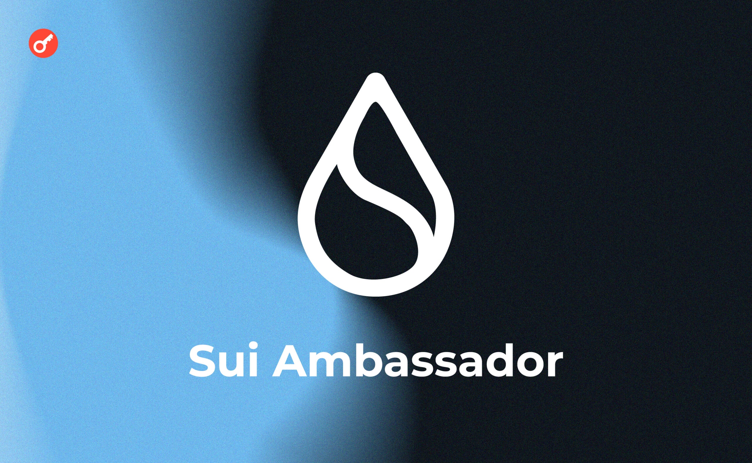 Sui ambassador program: інструкція з отримання амбасадорки. Головний колаж статті.