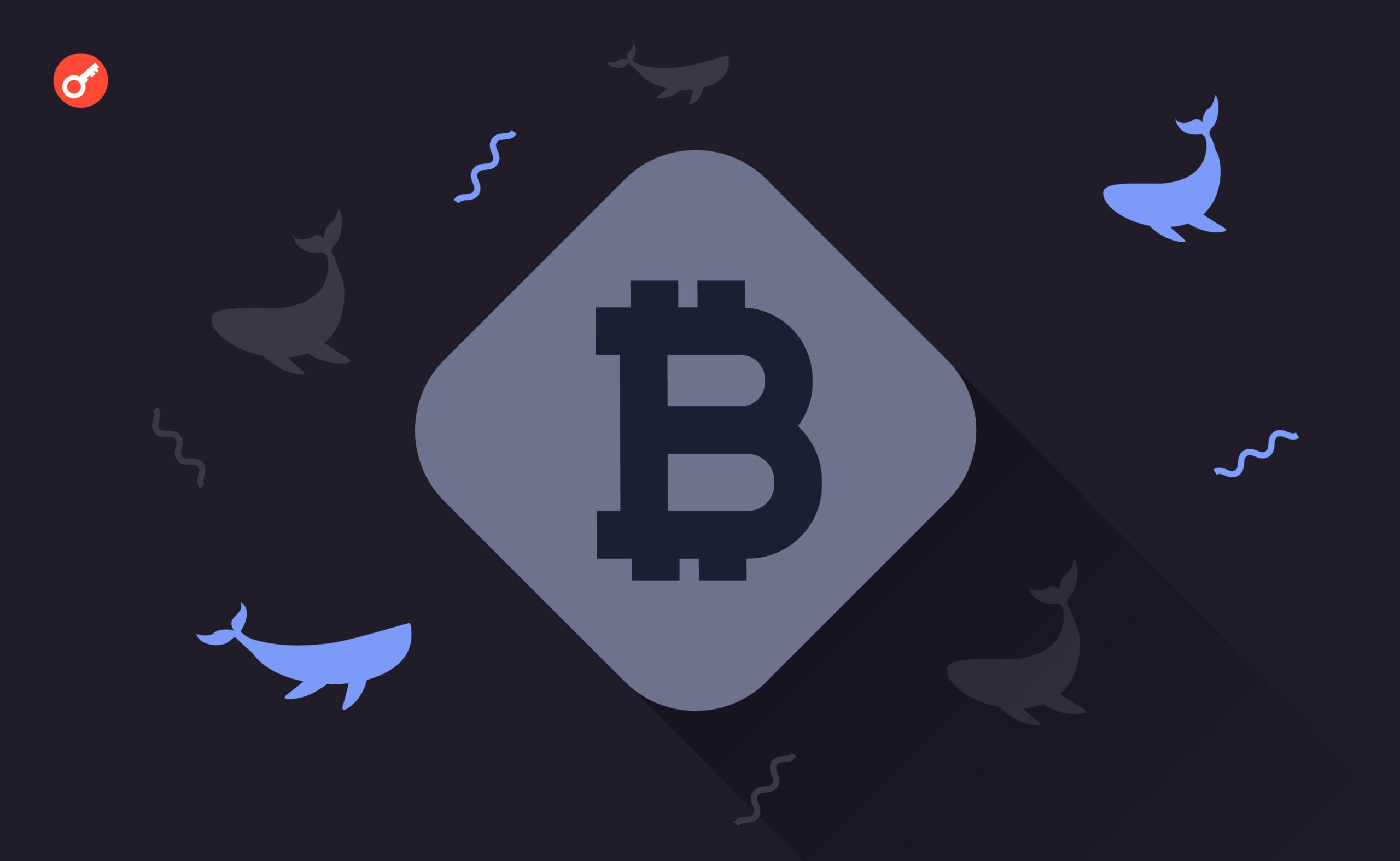 Santiment: bitcoinowe wieloryby od początku roku zgromadziły 266 000 BTC. Główny kolaż wiadomości.