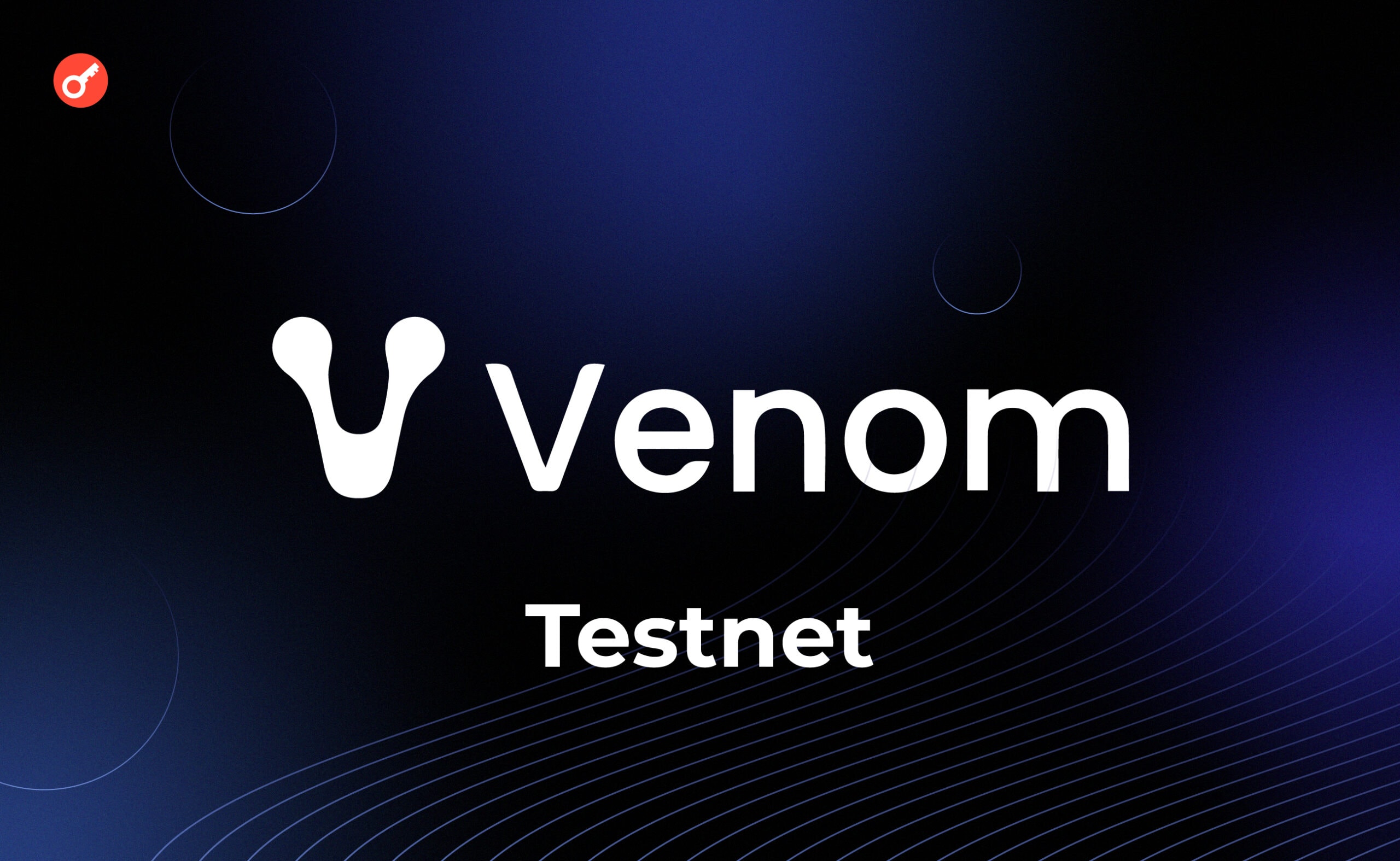Venom тестнет: обзор на доступные активности в сети. Заглавный коллаж статьи.
