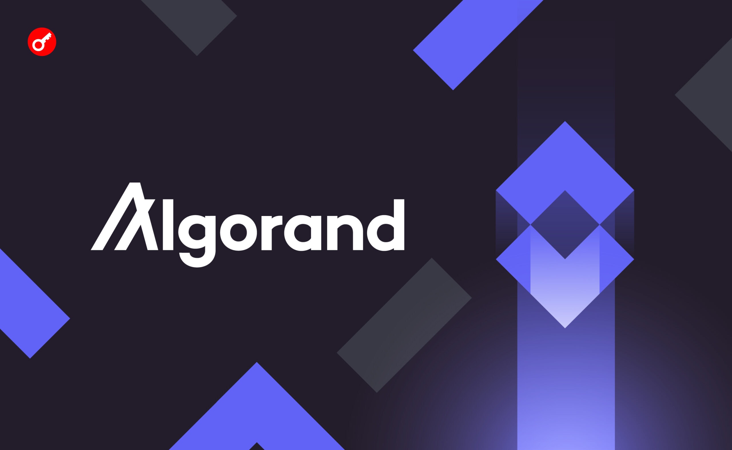 Фонд Algorand заключил партнерство с индийскими организациями. Заглавный коллаж новости.