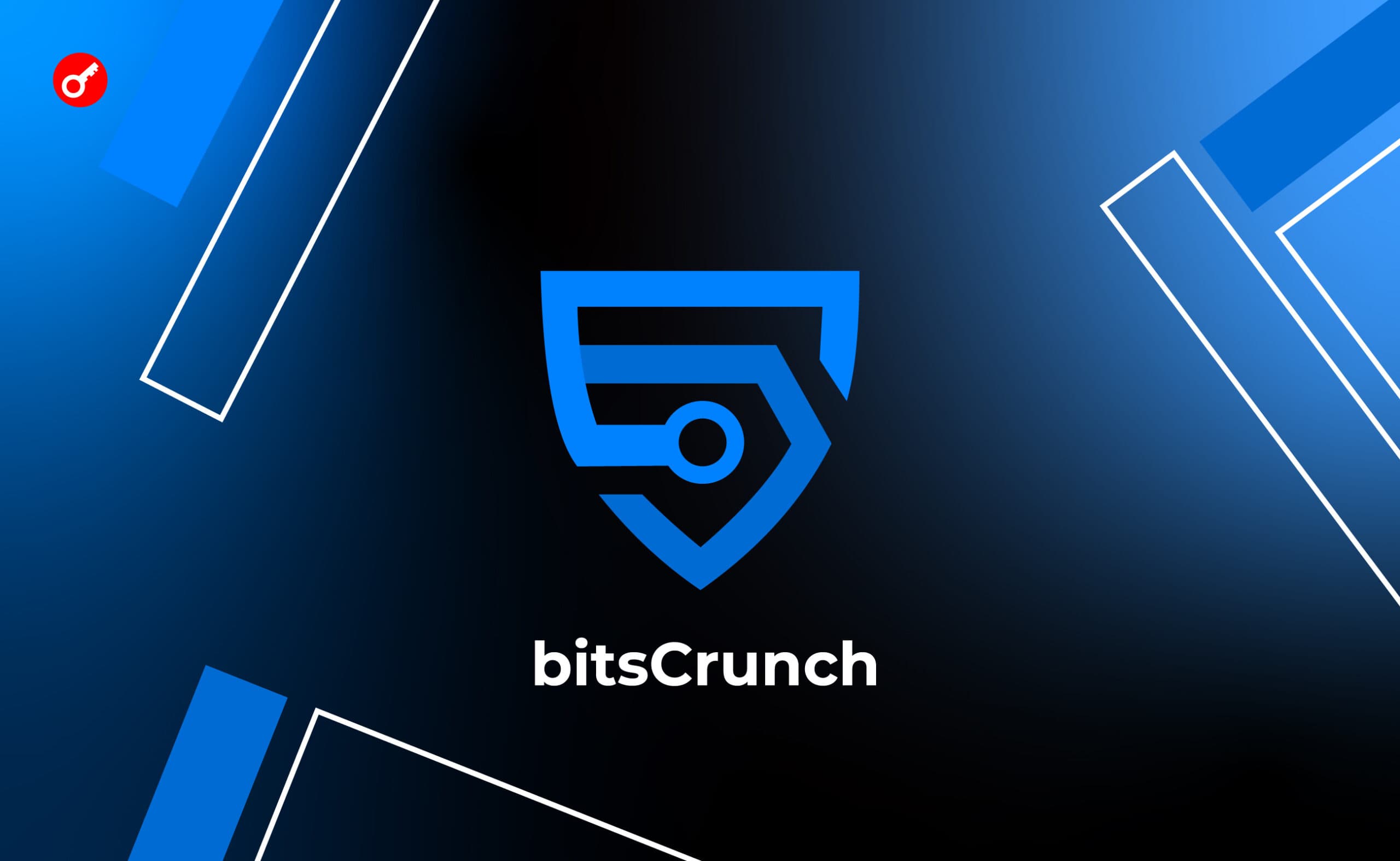 bitsCrunch: вознаграждаемый тестнет, при поддержке Coinlist. Заглавный коллаж статьи.