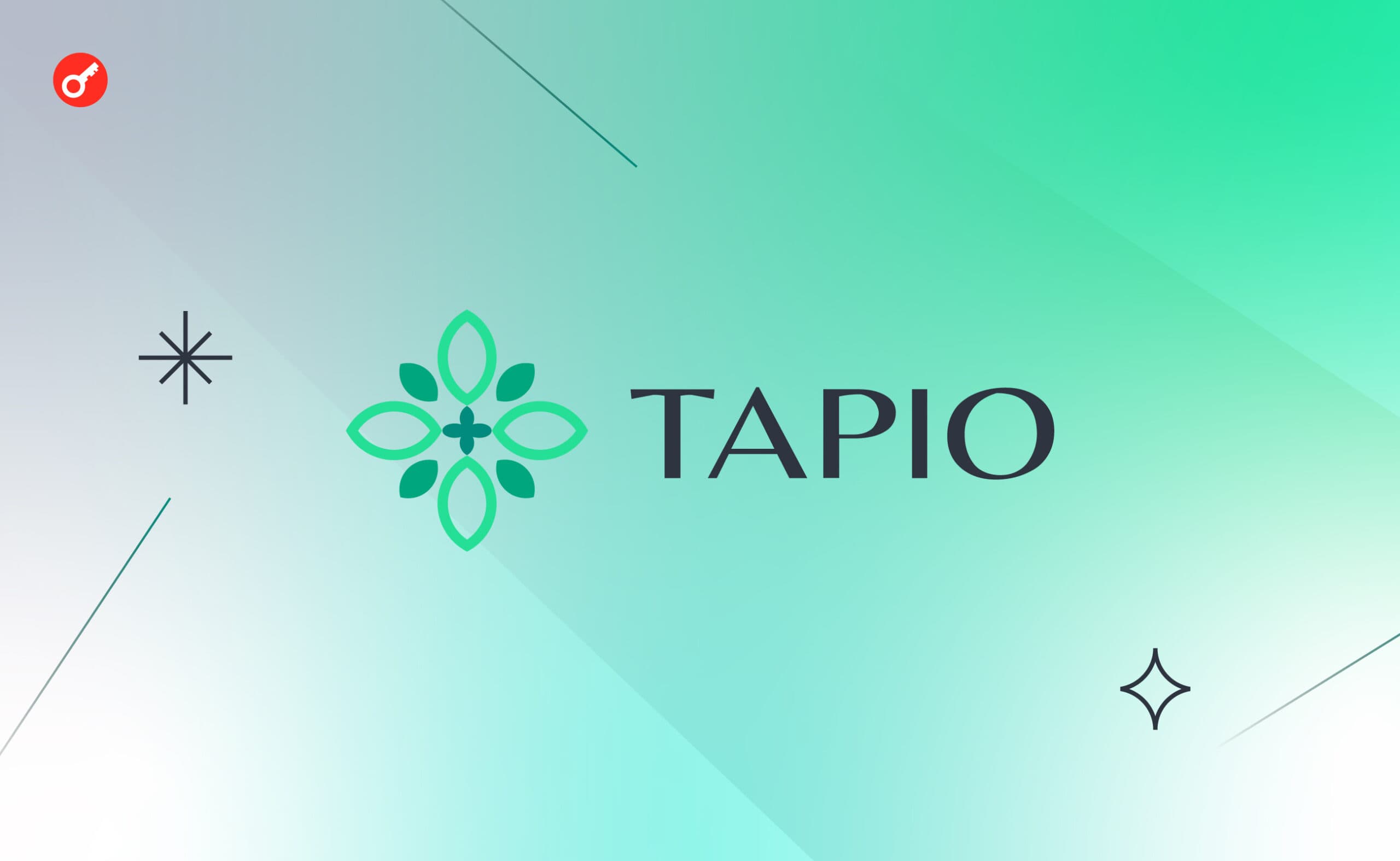 Tapio Finance: беремо участь у проєкті на ранній стадії. Головний колаж статті.