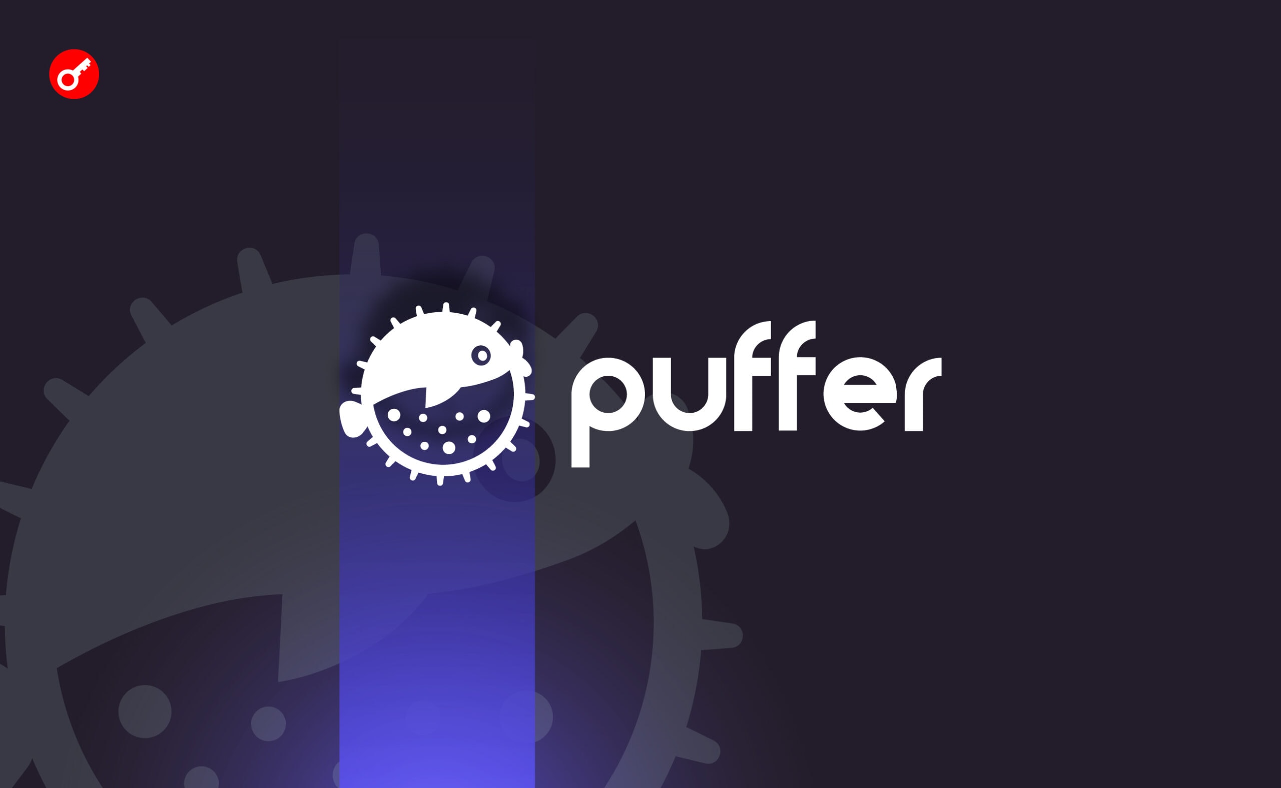 Puffer Finance привлекла $5,5 млн инвестиций. Заглавный коллаж новости.