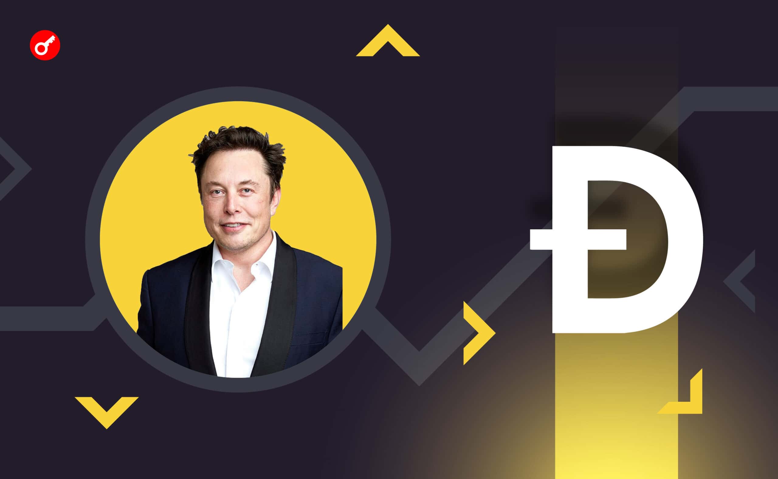 Media: Elon Musk potajemnie finansował rozwój Dogecoin. Główny kolaż wiadomości.
