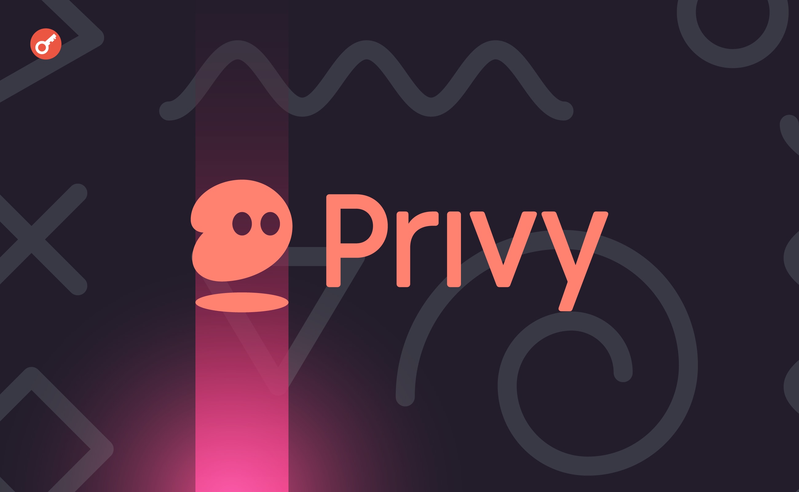 Privy — беремо участь у проєкті на ранній стадії розвитку з прицілом на дроп. Головний колаж статті.