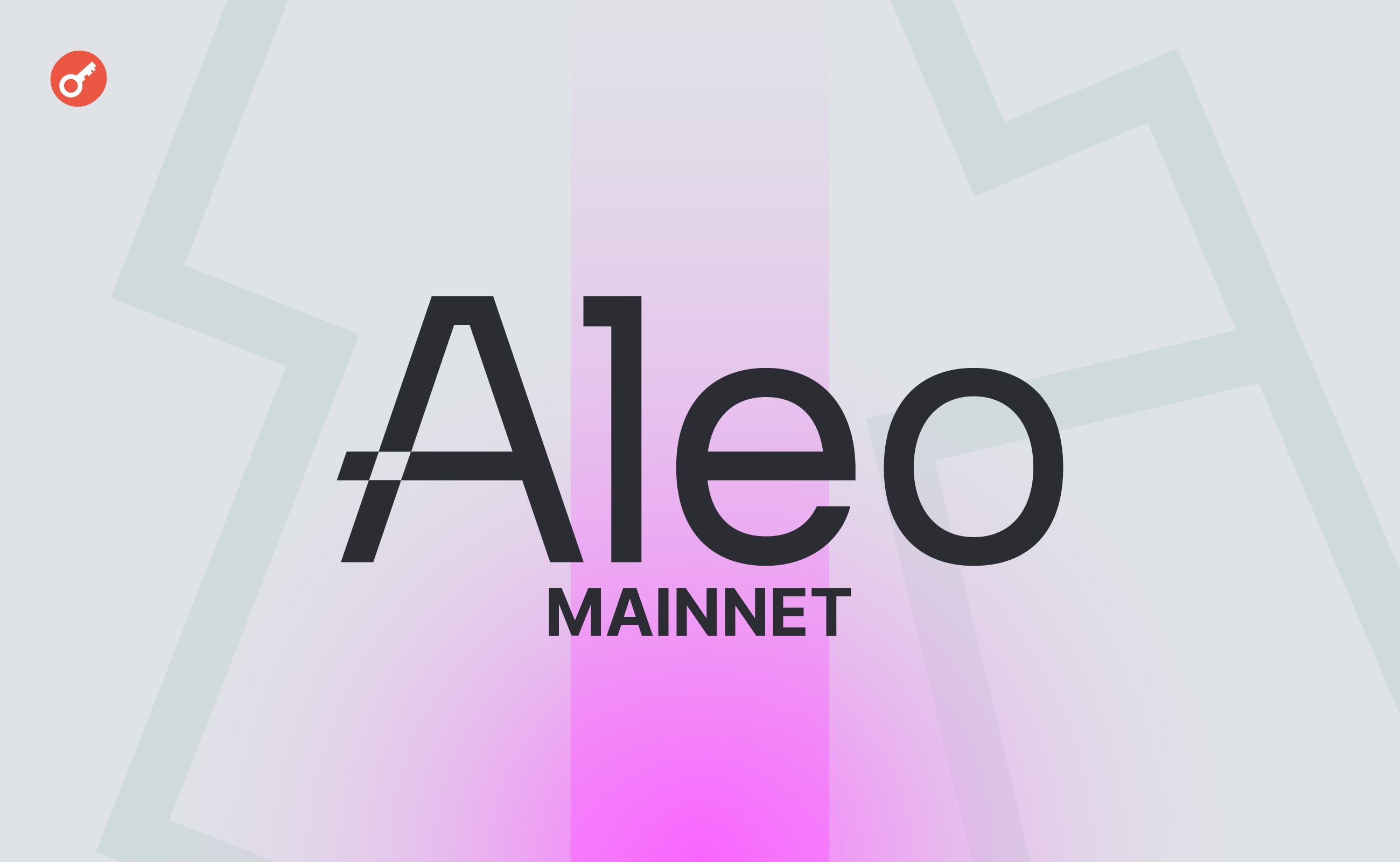 Мейннет Aleo запустят в первом квартале 2024 года. Заглавный коллаж новости.