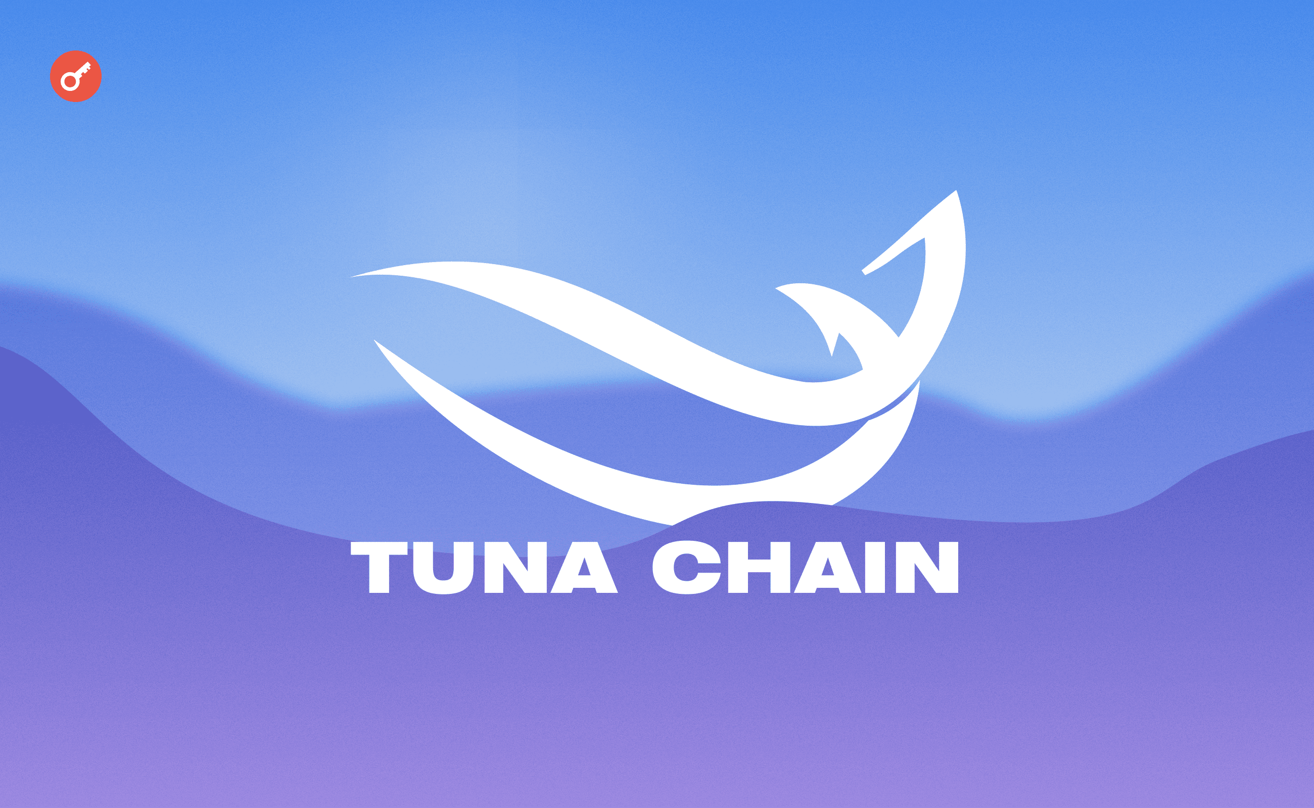Tuna Chain: early activity in the project. Заглавный коллаж статьи.