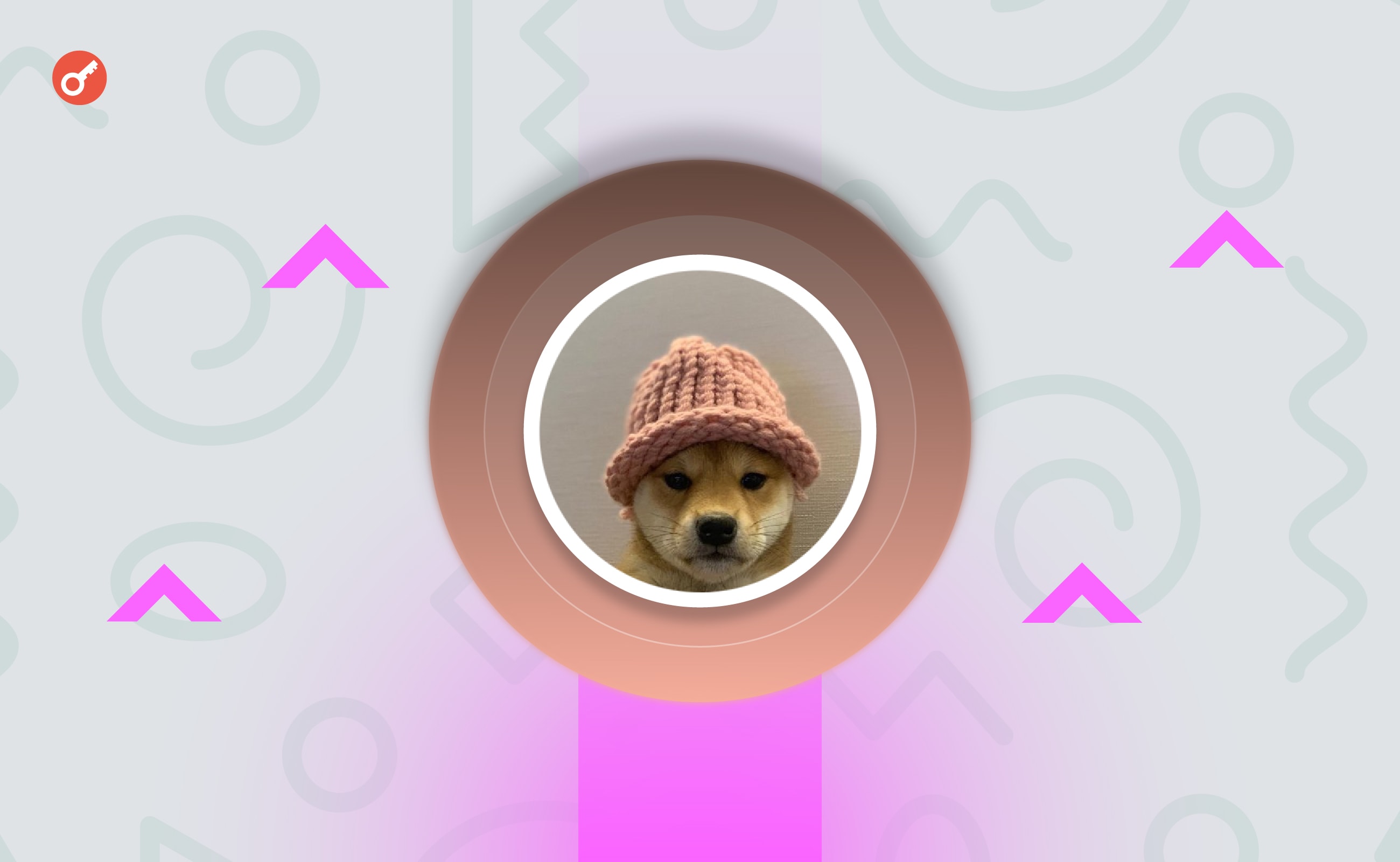 Zdjęcie psa z logo memcoina Dogwifhat jest gotowe do kupienia jako NFT za 26 000 USD. Główny kolaż wiadomości.
