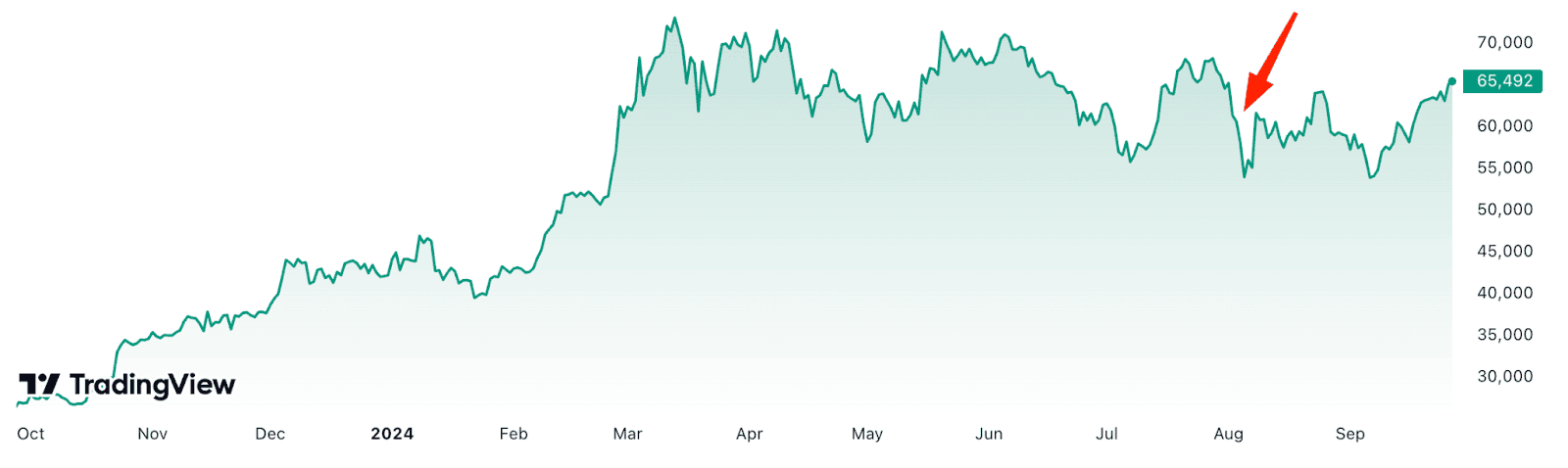 Стоимость биткоина. Данные: TradingView.