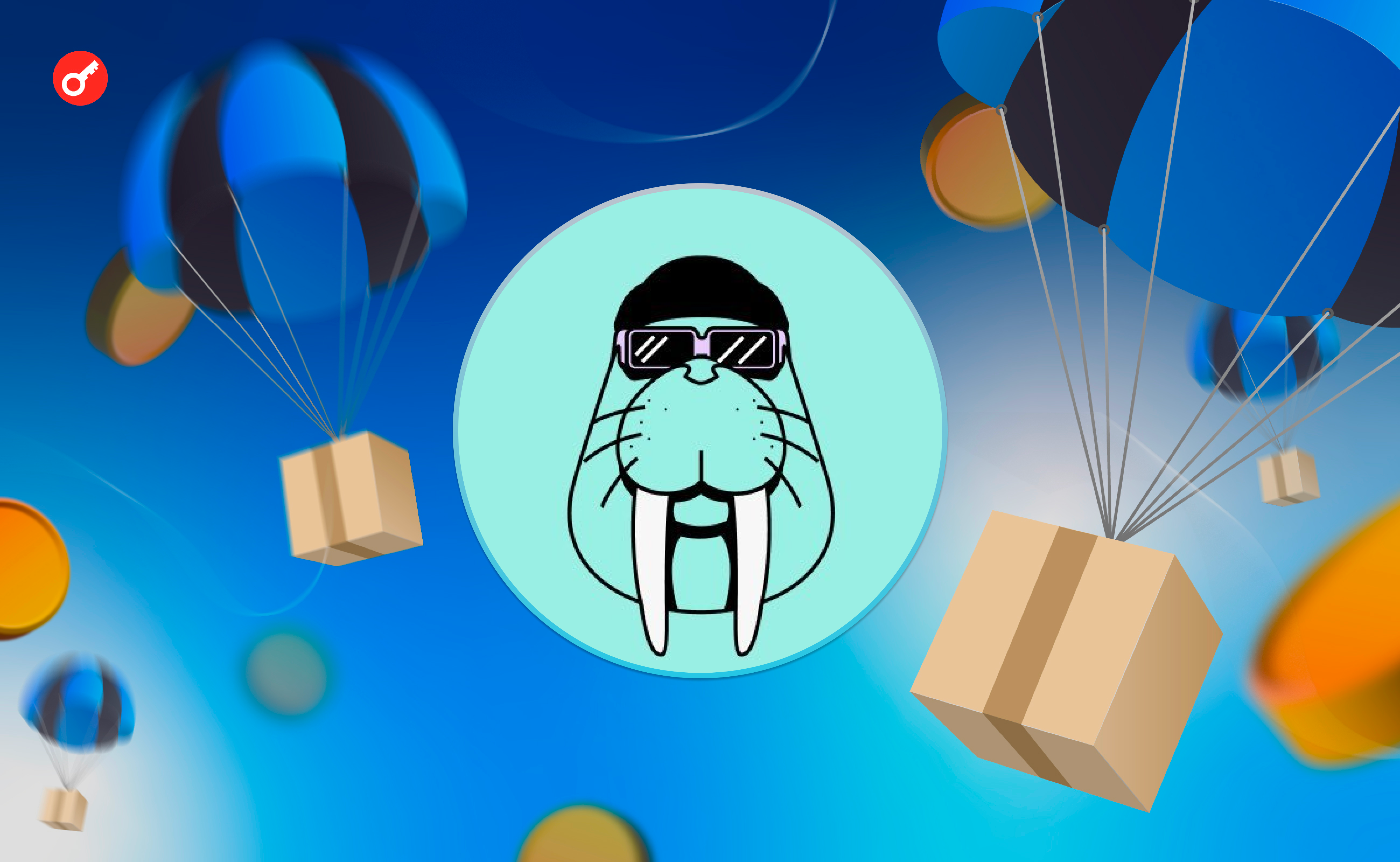 Activities on the Walrus testnet for a potential airdrop. Заглавный коллаж статьи.