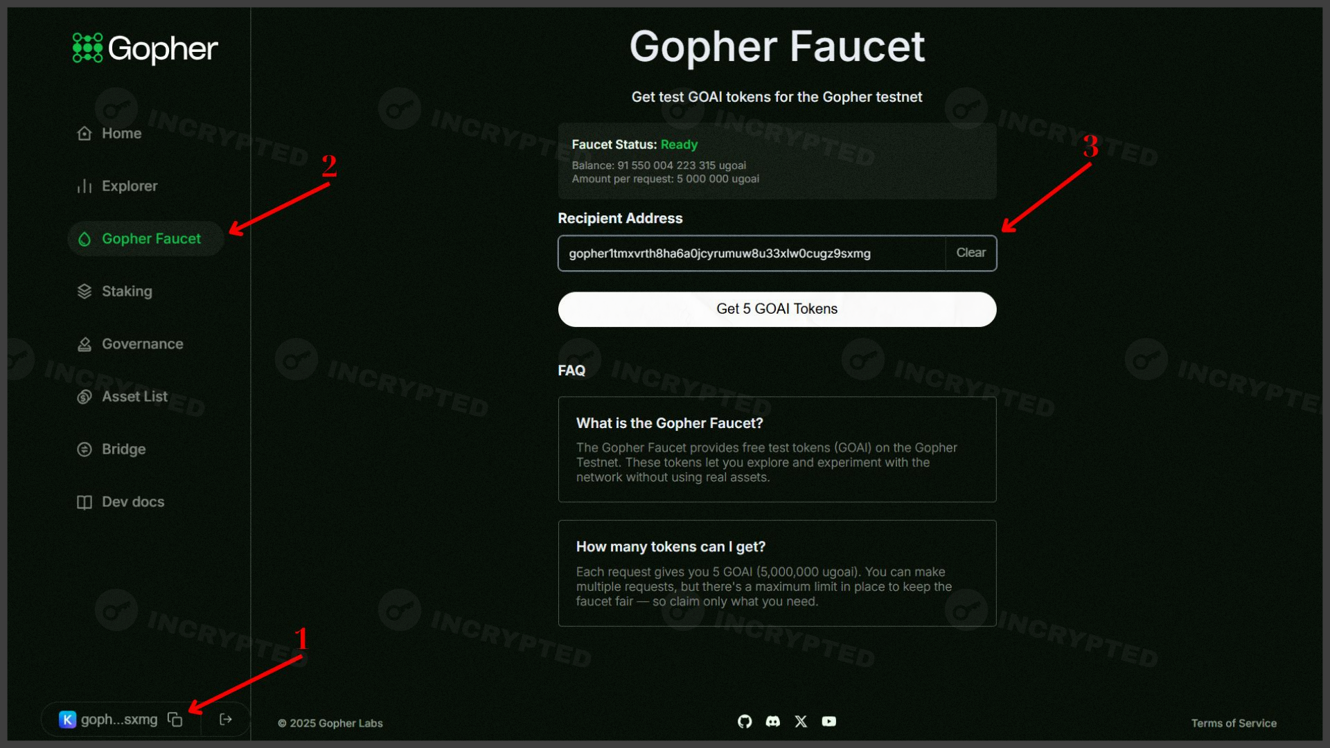 Gopher — active participation in the testnet with the aim of airdrop