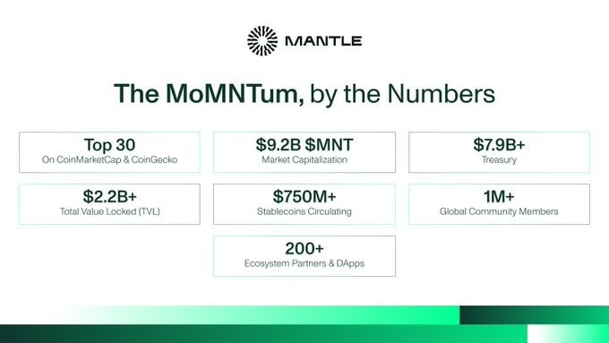 Mantle Network: институциональная экспансия и возможности для разработчиков